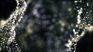 No Copyright Video, Copyright Free, 4K Motion Graphics, Green Screen, Background, Animation, Download