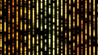 No Copyright Video, Copyright Free, 4K Motion Graphics, Green Screen, Background, Animation, Download