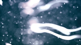 No Copyright Video, Copyright Free, 4K Motion Graphics, Green Screen, Background, Animation, Download