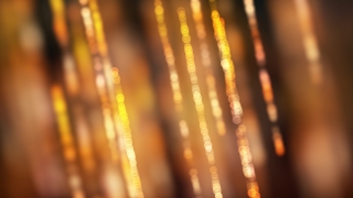 No Copyright Video, Copyright Free, 4K Motion Graphics, Green Screen, Background, Animation, Download