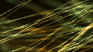 No Copyright Video, Copyright Free, 4K Motion Graphics, Green Screen, Background, Animation, Download