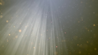 No Copyright Video, Copyright Free, 4K Motion Graphics, Green Screen, Background, Animation, Download