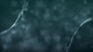 No Copyright Video, Copyright Free, 4K Motion Graphics, Green Screen, Background, Animation, Download