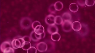 No Copyright Video, Copyright Free, 4K Motion Graphics, Green Screen, Background, Animation, Download