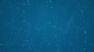 No Copyright Video, Copyright Free, 4K Motion Graphics, Green Screen, Background, Animation, Download