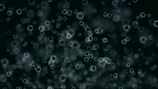 No Copyright Video, Copyright Free, 4K Motion Graphics, Green Screen, Background, Animation, Download