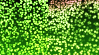 No Copyright Video, Copyright Free, HD Motion Graphics, Green Screen, Background, Animation, Download