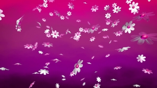 No Copyright Video, Copyright Free, HD Motion Graphics, Green Screen, Background, Animation, Download