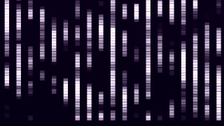 No Copyright Video, Copyright Free, HD Motion Graphics, Green Screen, Background, Animation, Download