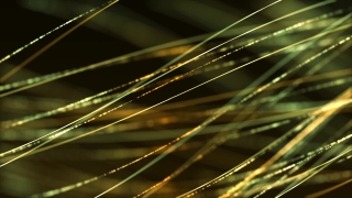 No Copyright Video, Copyright Free, HD Motion Graphics, Green Screen, Background, Animation, Download