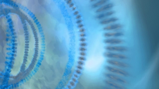 Free HD Motion Graphics, No Copyright Video, Copyright Free, Green Screen, Background, Animation, Download