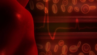 Free HD Motion Graphics, No Copyright Video, Copyright Free, Green Screen, Background, Animation, Download