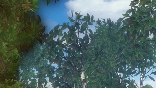 Free HD Motion Graphics, No Copyright Video, Copyright Free, Green Screen, Background, Animation, Download