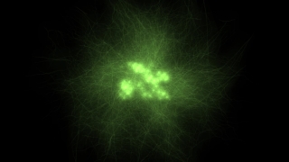 HD Visual Effects, No Copyright Video, Copyright Free, Green Screen, Background, Animation, Download