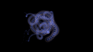 HD Visual Effects, No Copyright Video, Copyright Free, Green Screen, Background, Animation, Download