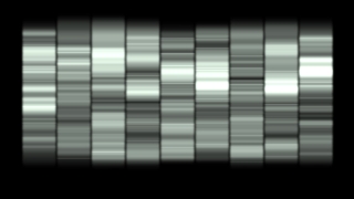 HD Visual Effects, No Copyright Video, Copyright Free, Green Screen, Background, Animation, Download