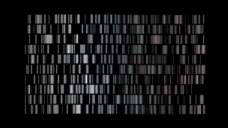 HD Visual Effects, No Copyright Video, Copyright Free, Green Screen, Background, Animation, Download