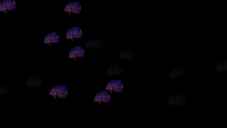 HD Visual Effects, No Copyright Video, Copyright Free, Green Screen, Background, Animation, Download