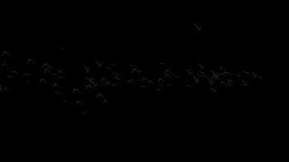 HD Visual Effects, No Copyright Video, Copyright Free, Green Screen, Background, Animation, Download