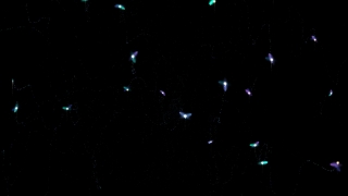 HD Visual Effects, No Copyright Video, Copyright Free, Green Screen, Background, Animation, Download