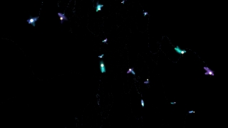 HD Visual Effects, No Copyright Video, Copyright Free, Green Screen, Background, Animation, Download