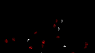 HD Visual Effects, No Copyright Video, Copyright Free, Green Screen, Background, Animation, Download