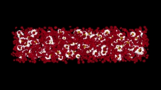 HD Visual Effects, No Copyright Video, Copyright Free, Green Screen, Background, Animation, Download