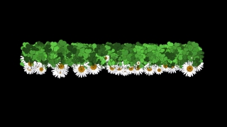 HD Visual Effects, No Copyright Video, Copyright Free, Green Screen, Background, Animation, Download