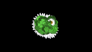 HD Visual Effects, No Copyright Video, Copyright Free, Green Screen, Background, Animation, Download