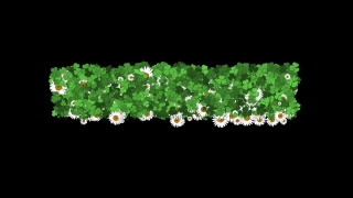 HD Visual Effects, No Copyright Video, Copyright Free, Green Screen, Background, Animation, Download