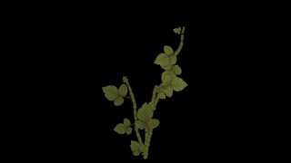 HD Visual Effects, No Copyright Video, Copyright Free, Green Screen, Background, Animation, Download