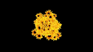 HD Visual Effects, No Copyright Video, Copyright Free, Green Screen, Background, Animation, Download