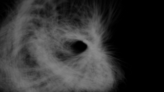 HD Visual Effects, No Copyright Video, Copyright Free, Green Screen, Background, Animation, Download