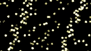 HD Visual Effects, No Copyright Video, Copyright Free, Green Screen, Background, Animation, Download