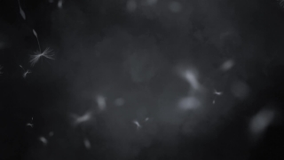 HD Visual Effects, No Copyright Video, Copyright Free, Green Screen, Background, Animation, Download