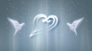 No Copyright Video, Copyright Free, 4K Motion Graphics, Green Screen, Background, Animation, Download