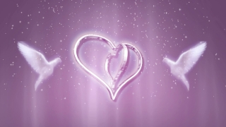 No Copyright Video, Copyright Free, 4K Motion Graphics, Green Screen, Background, Animation, Download