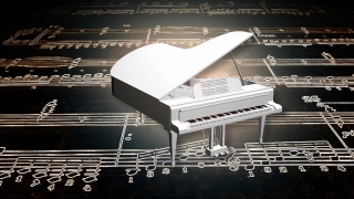 No Copyright Video, Copyright Free, 4K Motion Graphics, Green Screen, Background, Animation, Download