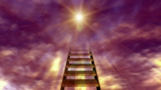 No Copyright Video, Copyright Free, 4K Motion Graphics, Green Screen, Background, Animation, Download