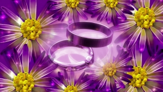 No Copyright Video, Copyright Free, 4K Motion Graphics, Green Screen, Background, Animation, Download