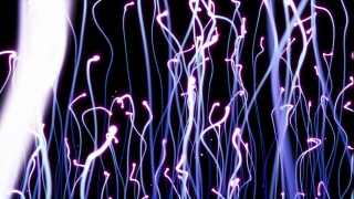 No Copyright Video, Copyright Free, 4K Motion Graphics, Green Screen, Background, Animation, Download