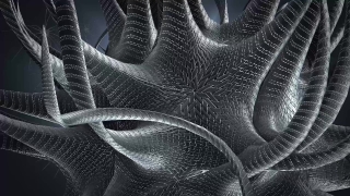 No Copyright Video, Copyright Free, 4K Motion Graphics, Green Screen, Background, Animation, Download