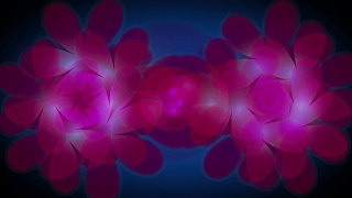 No Copyright Video, Copyright Free, 4K Motion Graphics, Green Screen, Background, Animation, Download