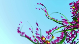 No Copyright Video, Copyright Free, 4K Motion Graphics, Green Screen, Background, Animation, Download