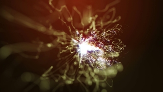 No Copyright Video, Copyright Free, 4K Motion Graphics, Green Screen, Background, Animation, Download