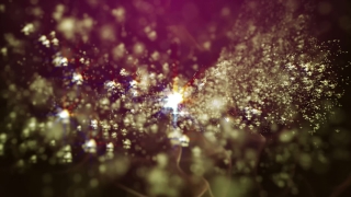 No Copyright Video, Copyright Free, 4K Motion Graphics, Green Screen, Background, Animation, Download