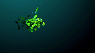 No Copyright Video, Copyright Free, 4K Motion Graphics, Green Screen, Background, Animation, Download