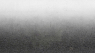 No Copyright Video, Copyright Free, 4K Motion Graphics, Green Screen, Background, Animation, Download