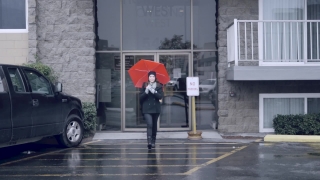 No Copyright Video, No Copyright Stock Footage, No Copyright Stock Video Clip