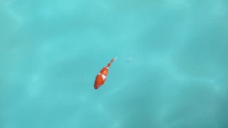 No Copyright Video, No Copyright Stock Footage, No Copyright Stock Video Clip